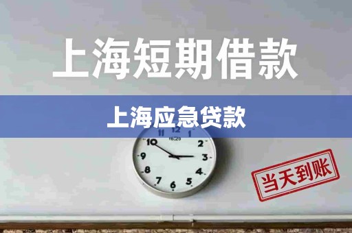 上海应急贷款