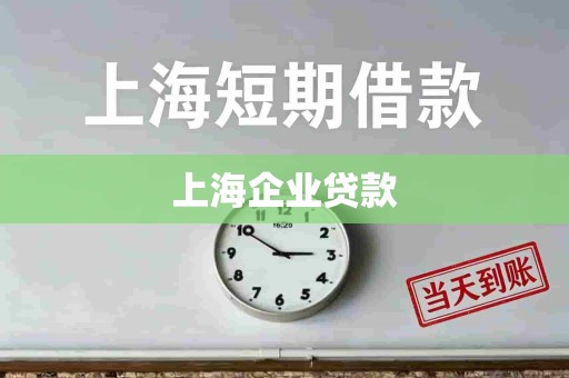 上海企业贷款 上海企业贷款